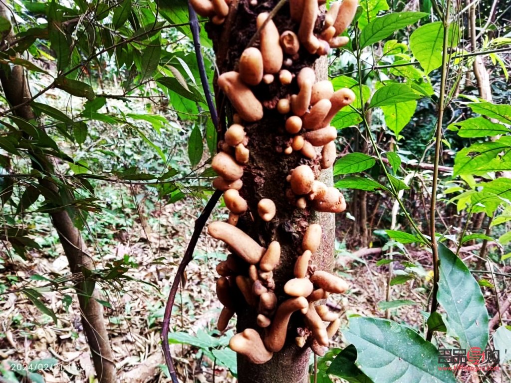 臉比較瘦小適合哪種雙眼皮(臉比較瘦小適合哪種雙眼皮貼)