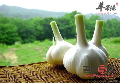 <h3>蒜的美容妙用：天然護膚秘籍</h3>