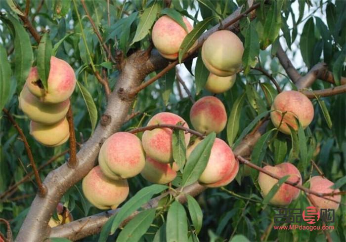 <h3>身體護理全攻略：從內(nèi)到外的呵護之道</h3>