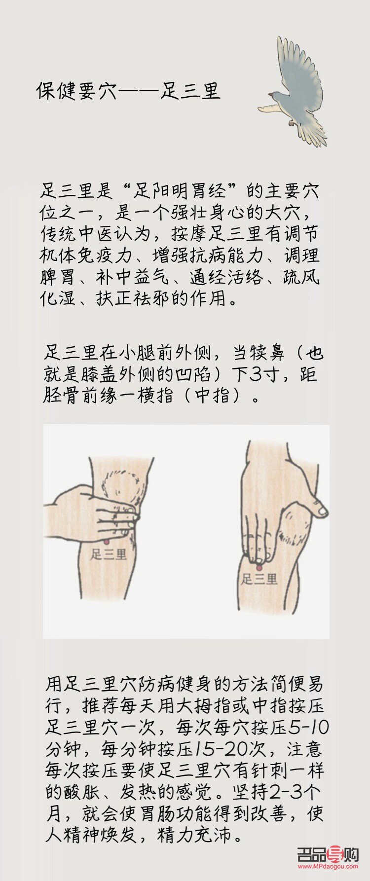 <h3>足三里穴位與美容：傳統(tǒng)中醫(yī)的智慧</h3>