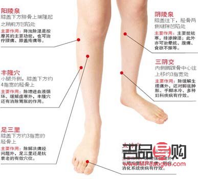 <h3>足三里穴位與美容：傳統(tǒng)中醫(yī)的智慧</h3>