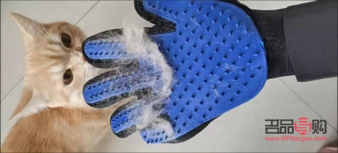 美道家美容怎么樣(美道家美容怎么樣啊)