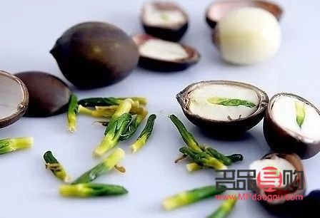 荷葉堿身體護(hù)理液的功效與作用