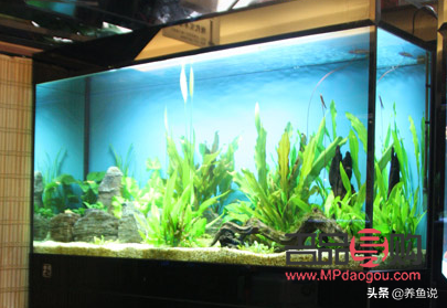 <h3>美容之光：探索光照在美容領域的奧秘</h3>