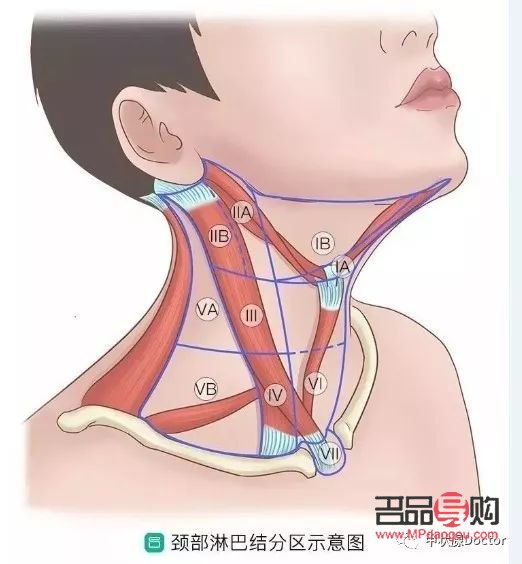 甲亢突眼能做手術(shù)嗎(甲亢突眼能做手術(shù)嗎?)