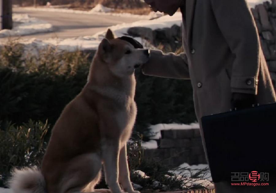 送兩歲外甥什么禮物(送兩歲外甥什么禮物比較好)