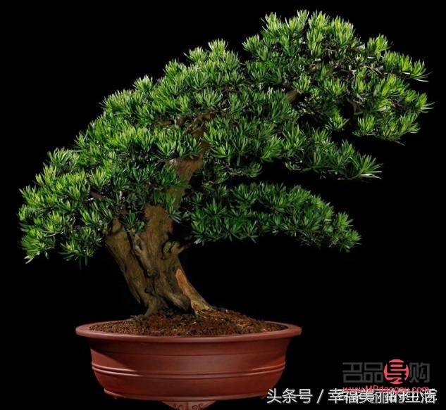 <h3>禮物的麻繩綁扎技巧視頻教程</h3>