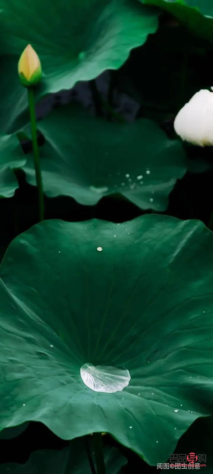 禮物珍藏文案怎么寫(禮物珍藏文案怎么寫好)