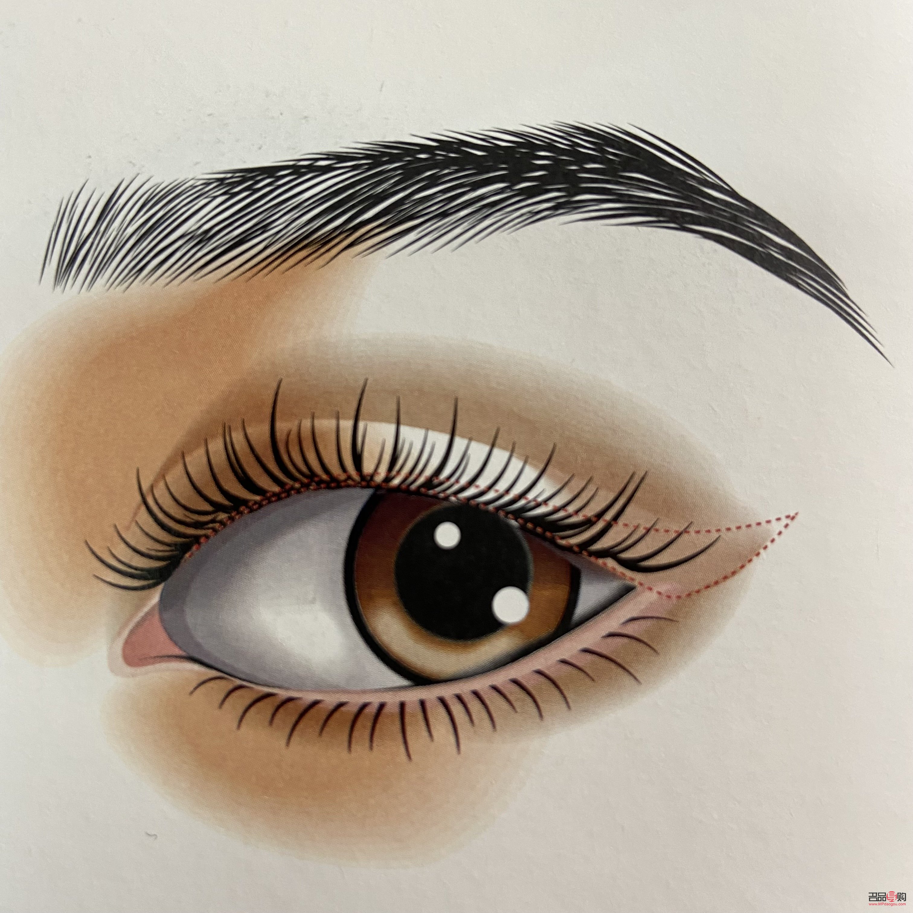 眼妝應該怎么畫(眼妝應該怎么畫好看)