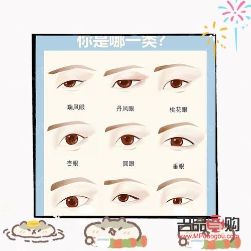 眼有幾種眼型(眼睛有幾種眼型)