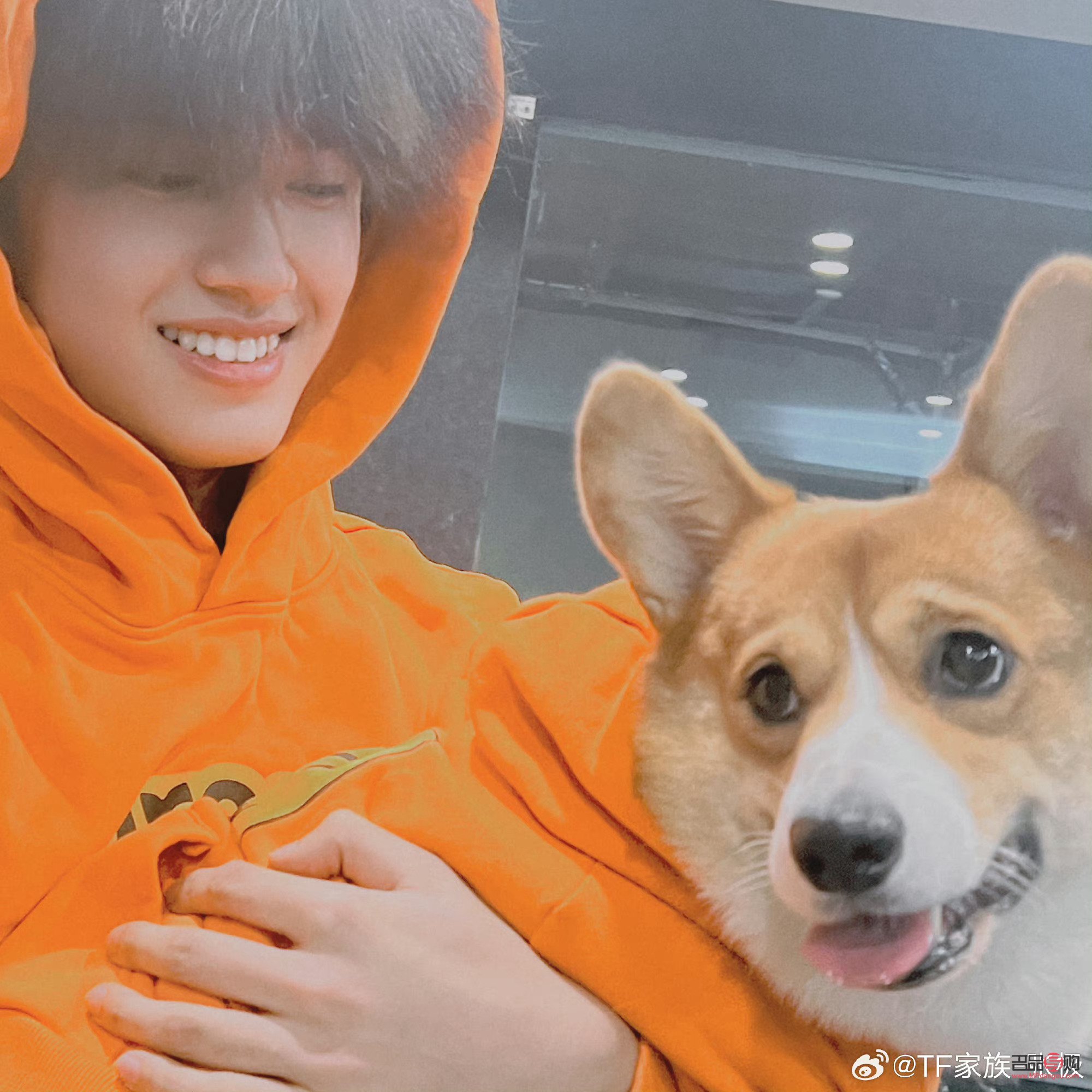 <h3>張極的心愛之物：探尋他所鐘愛的禮物世界</h3>