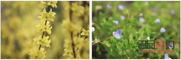 西安眼部整形醫(yī)生預(yù)約(西安眼部整形醫(yī)生預(yù)約掛號)