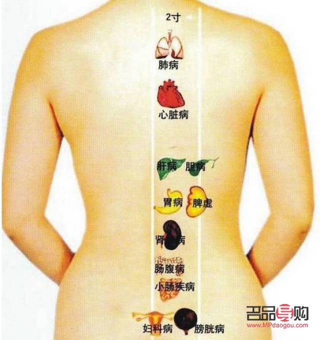 刮痧后該怎么護(hù)理身體(刮痧后該怎么護(hù)理身體健康)