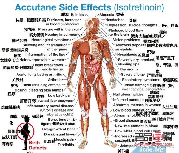 <h1>人體各部位護(hù)理指南</h1>