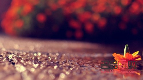 <h3>畢業(yè)禮物是否廉價？深情厚意無法用金錢衡量</h3>