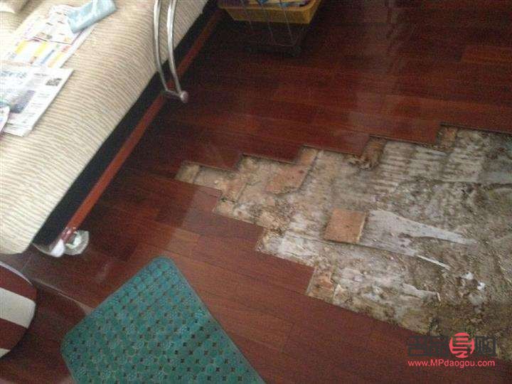 <h3>地板破損美容修復(fù)全攻略</h3>