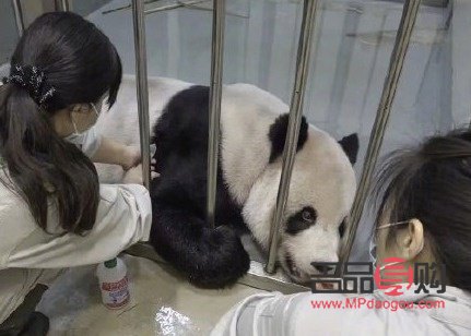 下午做身體護(hù)理好不好(下午做身體保健好嗎)