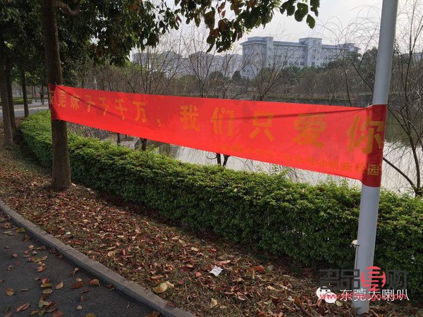 校園劇生日禮物是什么(校園劇生日禮物是什么)