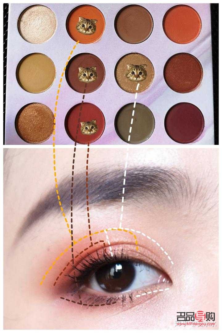 初學(xué)者眼影妝怎么畫？一篇詳盡指南帶你入門