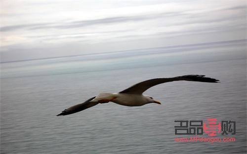 如何在家做美容圖(如何在家做美容圖片大全)