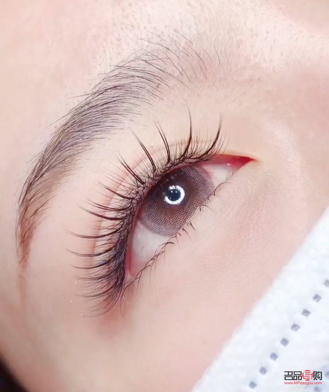 植眼睫毛的價(jià)格是多少(植眼睫毛的價(jià)格是多少錢一顆)