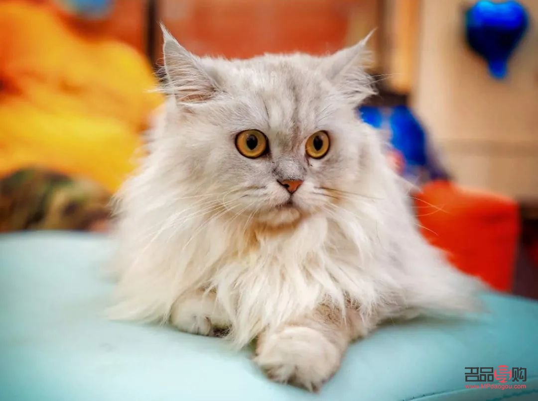 身體護(hù)理套餐是什么樣(身體護(hù)理套餐是什么樣的)