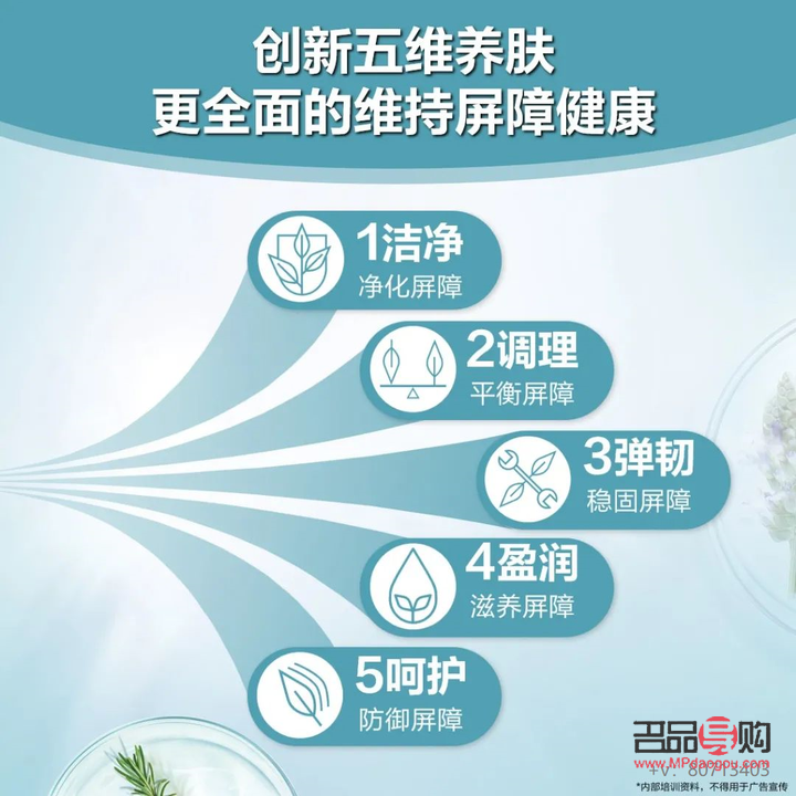 <h3>五維身體護理全攻略</h3>