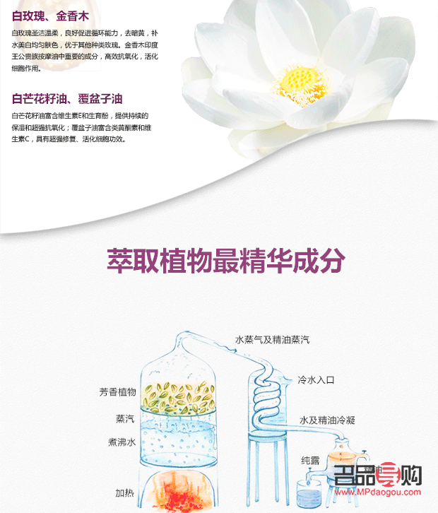 <h3>花草油的美容功效探究</h3>