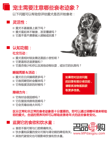 老狗健康護(hù)理全攻略
