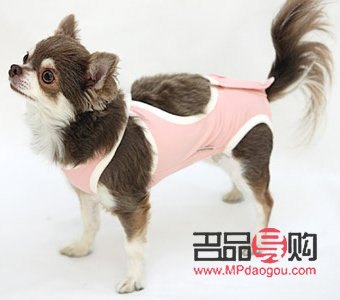 <h3>春天愛犬護(hù)理全攻略：呵護(hù)狗狗健康，享受溫暖時(shí)光</h3>