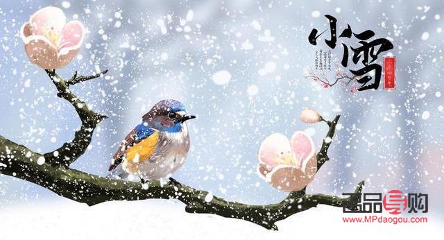 因?yàn)槭裁炊Y物小雪(因?yàn)槭裁炊Y物小雪可以送)