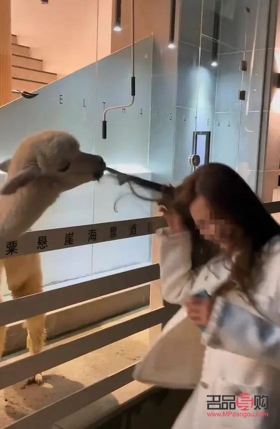 怎么保養(yǎng)身體護(hù)理文案(怎么保養(yǎng)身體護(hù)理文案句子)