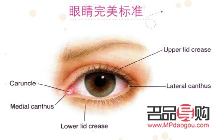 <h3>天生大小眼問題解析：女生是否能進(jìn)行矯正？</h3>