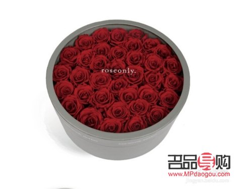 射手座女人禮物是什么(射手座女生禮物)