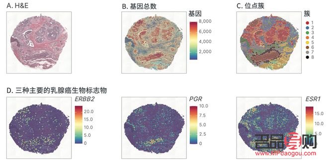 <h1>探索消除眼紋之道：最快最有效的方法大揭秘</h1>