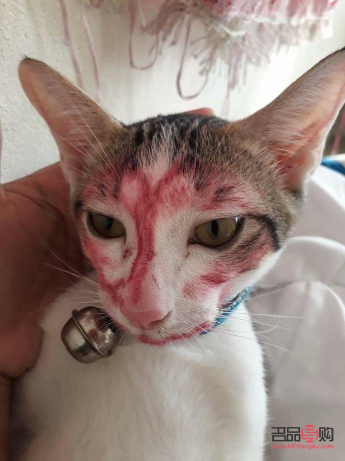 彩妝店鋪如何擺放(彩妝店鋪如何擺放好看)