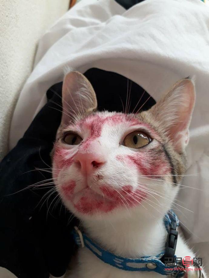 彩妝店鋪如何擺放(彩妝店鋪如何擺放好看)