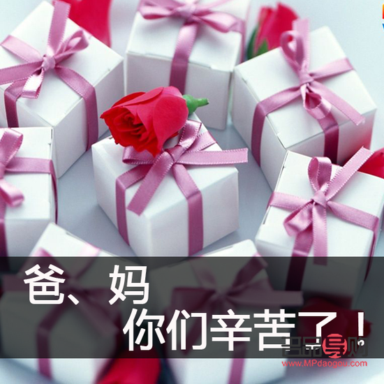 給父親什么過年禮物好(給父親什么過年禮物好呢)