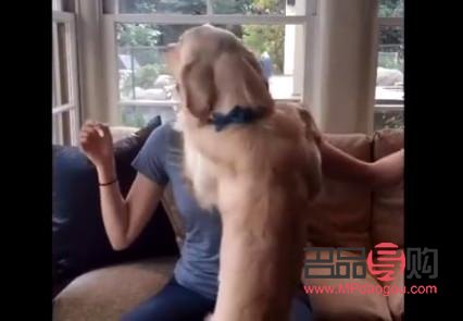 狗怎么做身體護(hù)理(狗怎么做身體護(hù)理視頻)