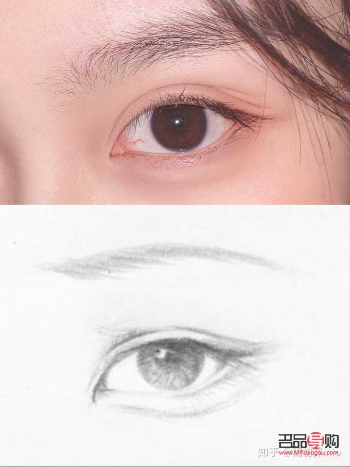 <h3>桃花眼與杏眼：深度解析兩者之間的獨(dú)特差異</h3>