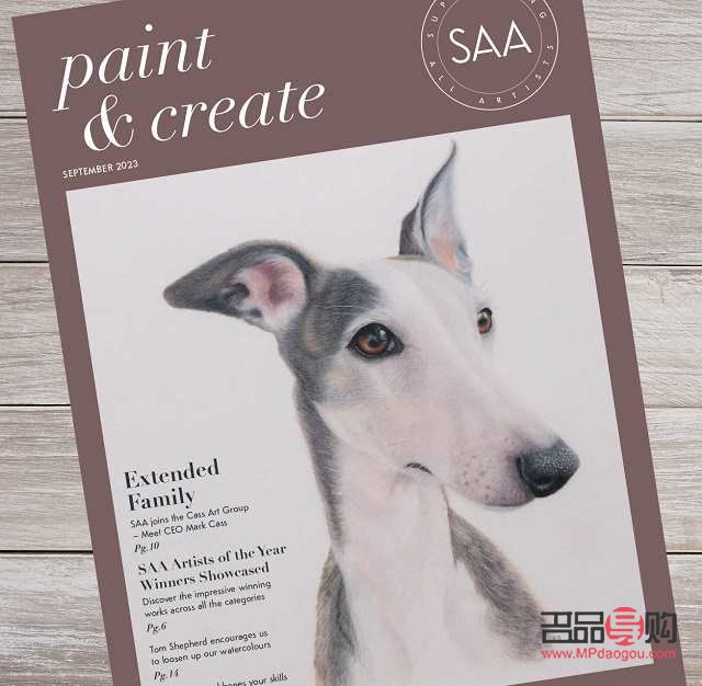 <h3>小狗彩妝繪制指南</h3>