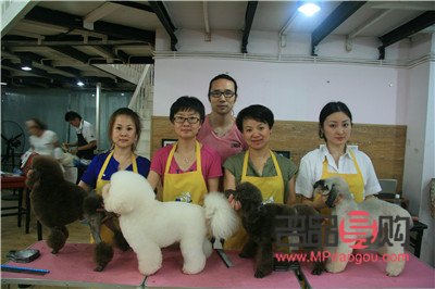 學(xué)美容要多少時(shí)間(學(xué)美容要多少時(shí)間才學(xué)會(huì))