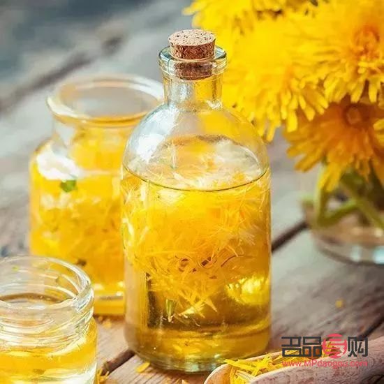 蒲公英能美容嗎(蒲公英能美容嗎百度百科)