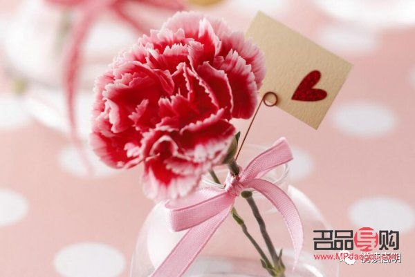 <h3>母親節(jié)禮物選購指南：溫馨又美觀的選擇</h3>