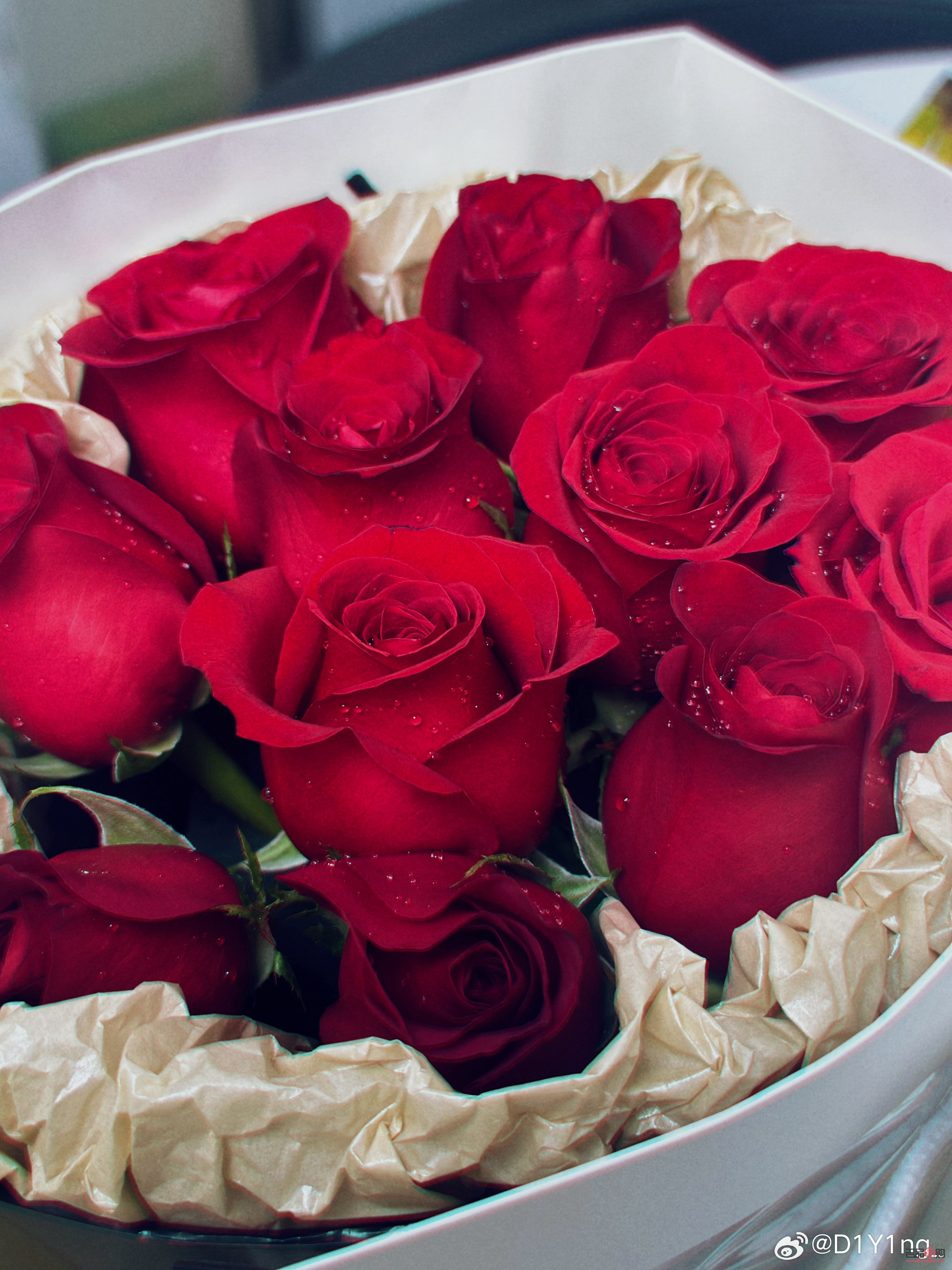 <h3>儀隴人的心愛之物：探尋最受喜愛的禮物</h3>