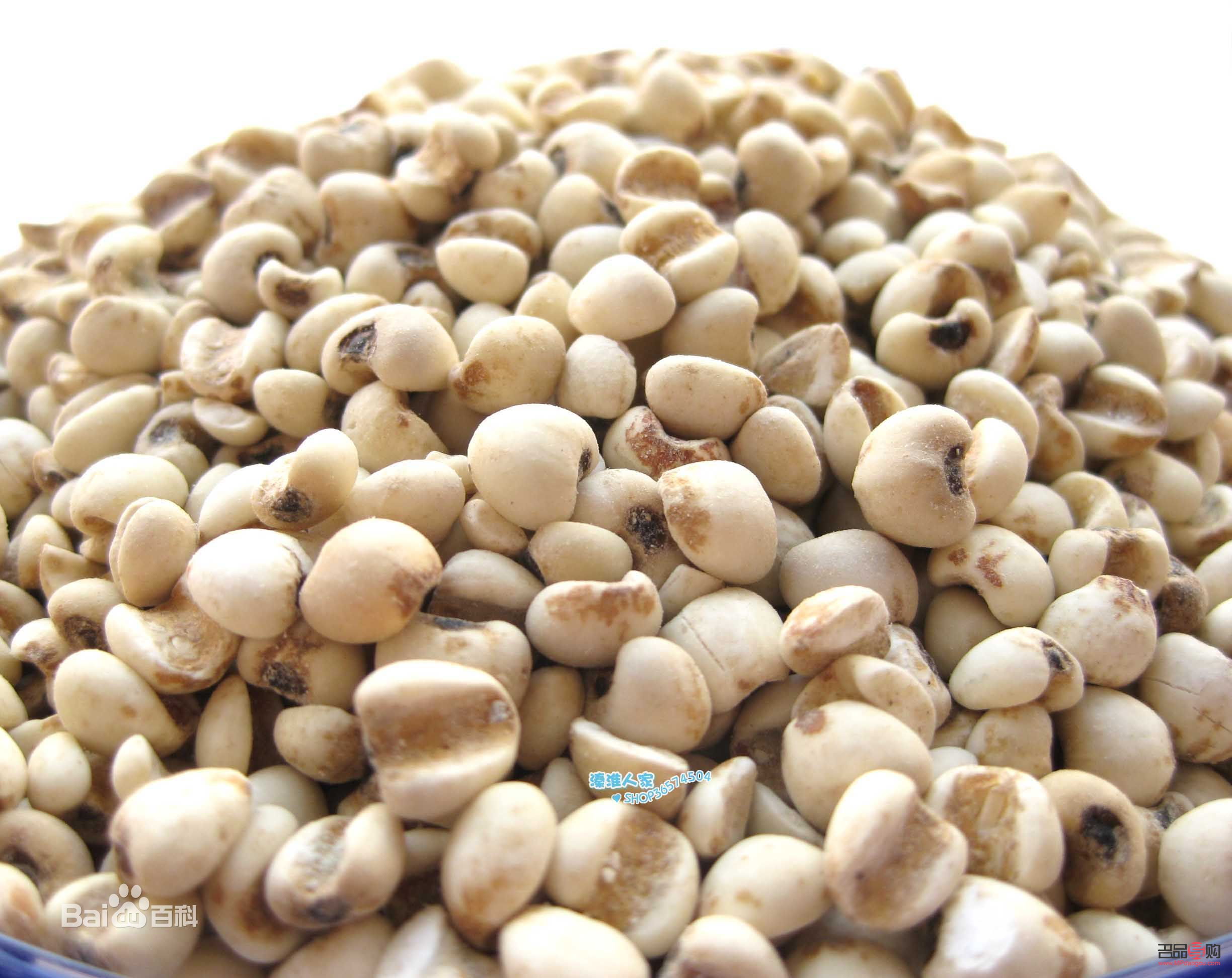 <h3>薏仁米的美容奧秘</h3>