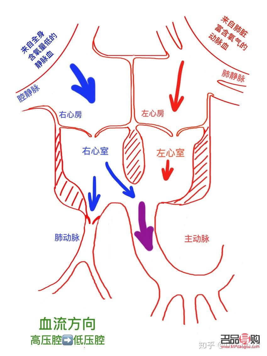 <h3>眼綜合包括哪些項目？詳解眼部整形全方位改善方案</h3>
