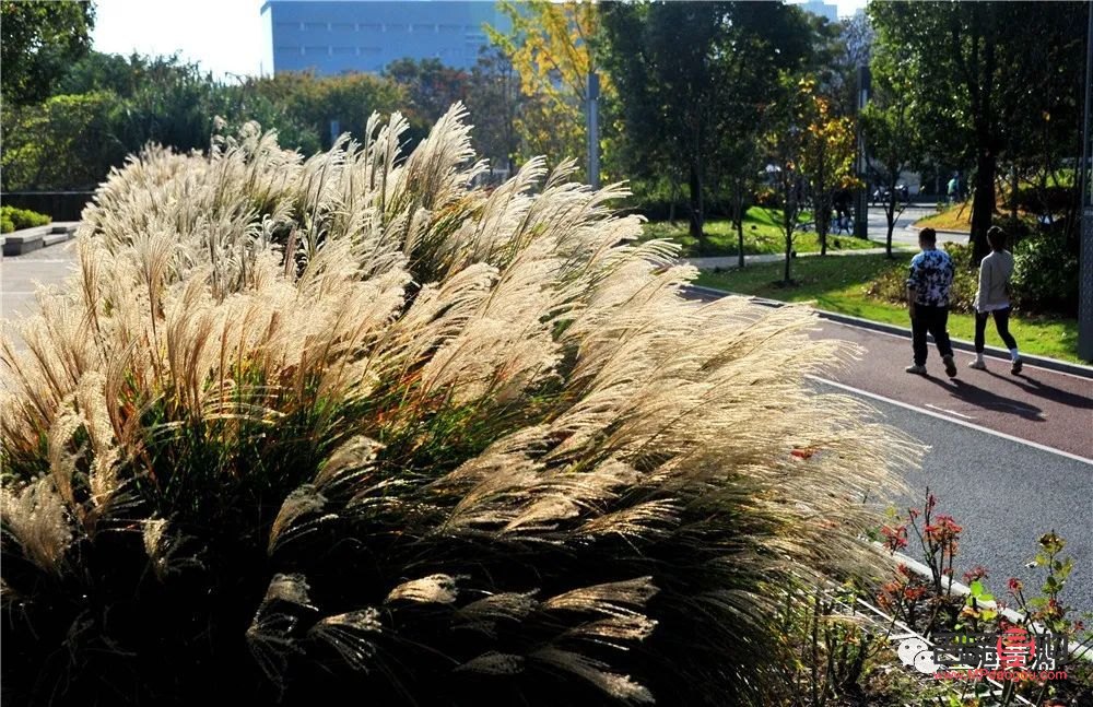 深秋彩妝怎么畫(深秋彩妝怎么畫好看)