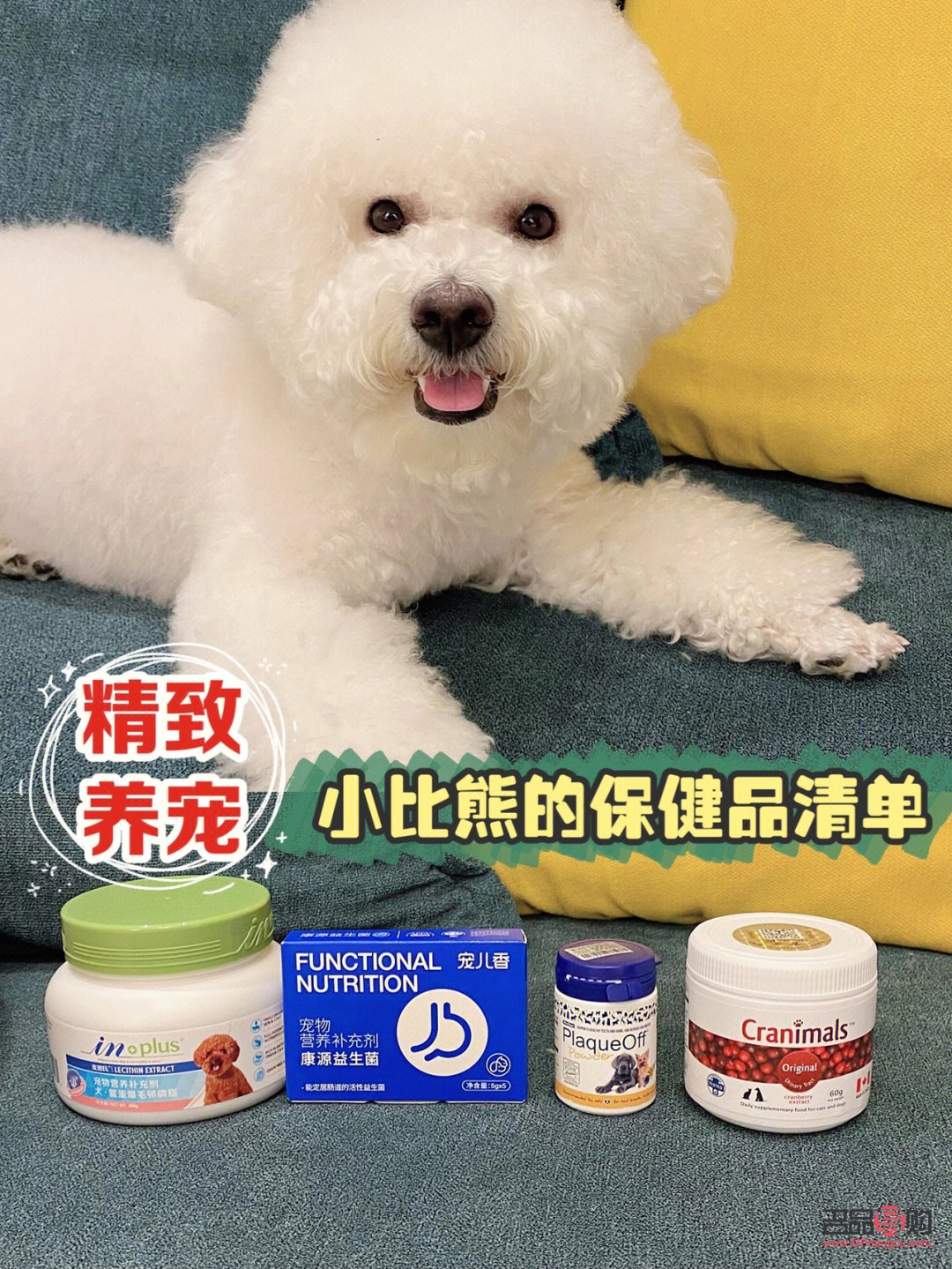 比熊身體護(hù)理有哪些藥(比熊身體護(hù)理有哪些藥品)