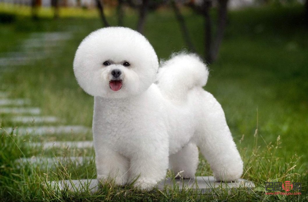 女美容師，為何不能成為理想的伴侶？